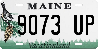 ME license plate 9073UP