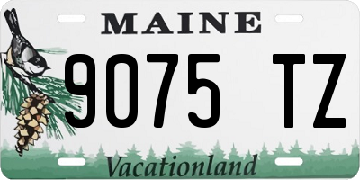 ME license plate 9075TZ