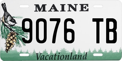 ME license plate 9076TB