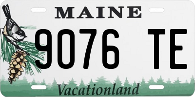 ME license plate 9076TE
