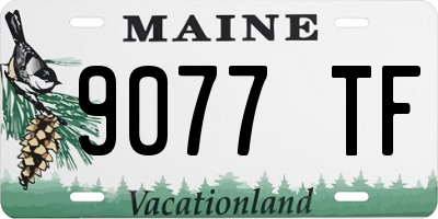 ME license plate 9077TF