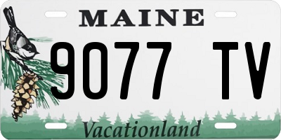 ME license plate 9077TV