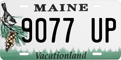 ME license plate 9077UP