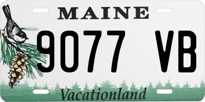 ME license plate 9077VB