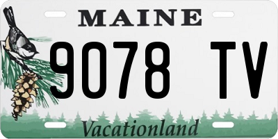 ME license plate 9078TV