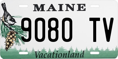 ME license plate 9080TV