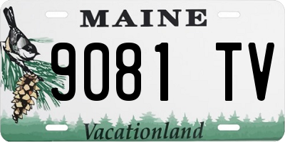 ME license plate 9081TV