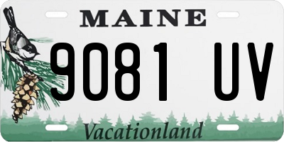 ME license plate 9081UV