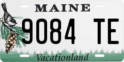 ME license plate 9084TE