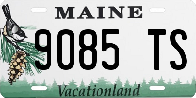 ME license plate 9085TS