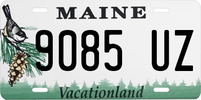 ME license plate 9085UZ