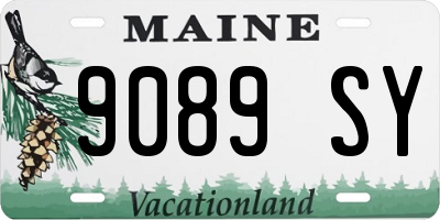 ME license plate 9089SY