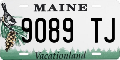 ME license plate 9089TJ