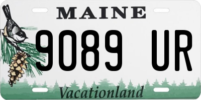 ME license plate 9089UR