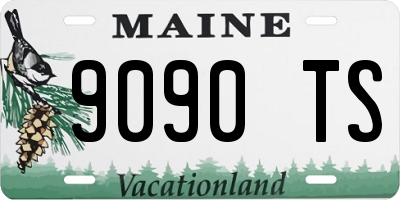 ME license plate 9090TS