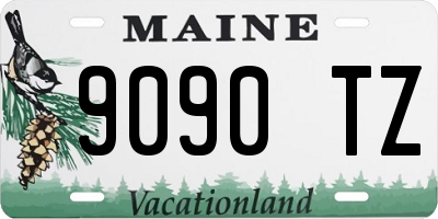 ME license plate 9090TZ