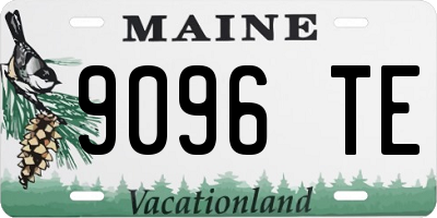 ME license plate 9096TE