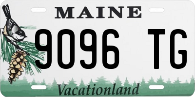 ME license plate 9096TG