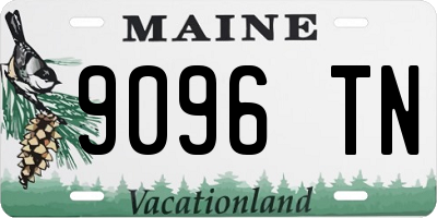 ME license plate 9096TN