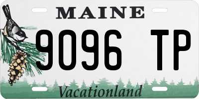 ME license plate 9096TP