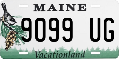 ME license plate 9099UG