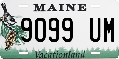 ME license plate 9099UM