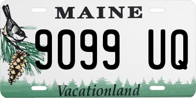 ME license plate 9099UQ