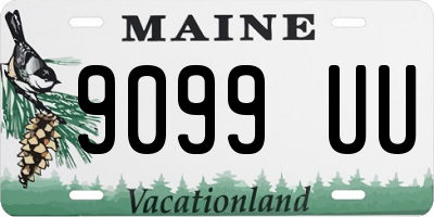 ME license plate 9099UU