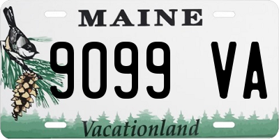 ME license plate 9099VA