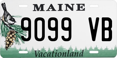 ME license plate 9099VB