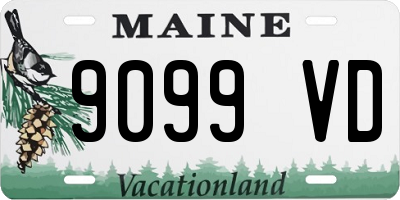 ME license plate 9099VD