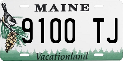 ME license plate 9100TJ