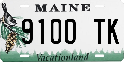 ME license plate 9100TK