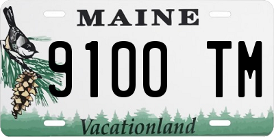 ME license plate 9100TM