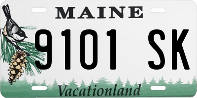 ME license plate 9101SK