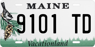 ME license plate 9101TD
