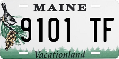 ME license plate 9101TF