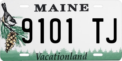 ME license plate 9101TJ