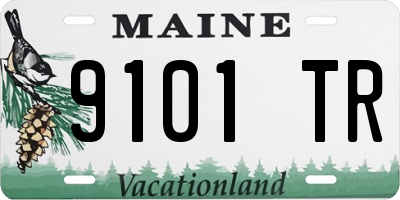 ME license plate 9101TR