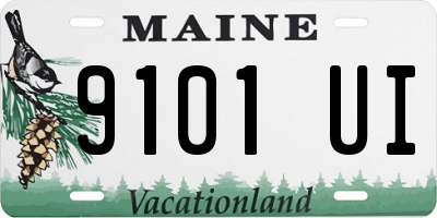 ME license plate 9101UI
