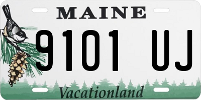 ME license plate 9101UJ