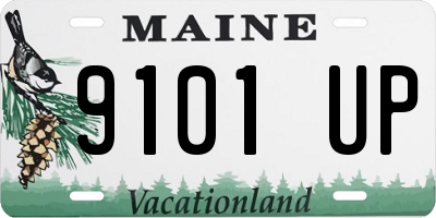 ME license plate 9101UP