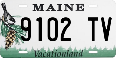 ME license plate 9102TV
