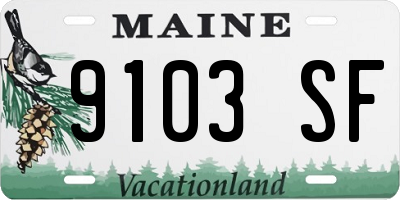 ME license plate 9103SF