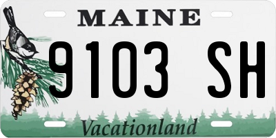 ME license plate 9103SH