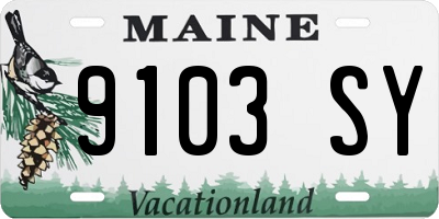 ME license plate 9103SY