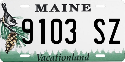 ME license plate 9103SZ