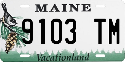 ME license plate 9103TM