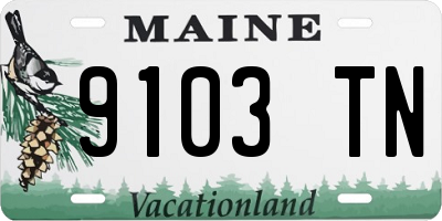 ME license plate 9103TN