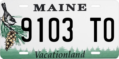 ME license plate 9103TO